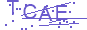 驗證碼 TCAE